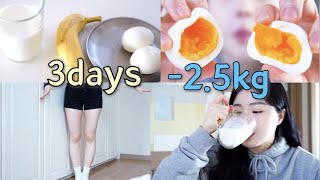 Diet｜🔥3일동안 25kg｜단기간 다이어트 feat전효성님 다이어트 [upl. by Eciuqram]