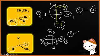 Fischer Projections How to Draw and Interpret for Single and Multiple Chiral Centers [upl. by Tattan]