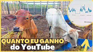 GANHO DINHEIRO DO YOUTUBE QUANTO EU GANHO [upl. by Norven]