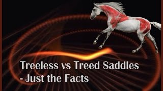 Treeless vs Treed Saddles  Just the Facts by Saddlefit 4 Life® [upl. by Brenza]