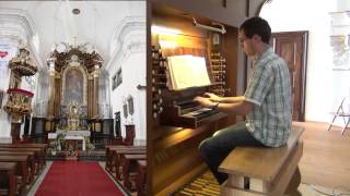 JS Bach  Toccata in d quotDorischequot BWV 538 [upl. by Coucher]