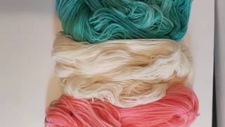 K2D4 Episode 01 How to dye tonal yarn with Wiltons food color [upl. by Novyert]