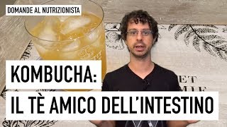 Kombucha il tè probiotico amico dellintestino [upl. by Artinek912]