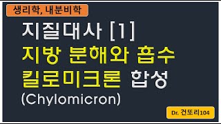 지질대사 1 지방의 소화 킬로미크론Chylomicron 합성 [upl. by Reid37]