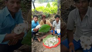 🍄 मशरूम  टेक तेकुळेमश्रुम  mushroom  masharum necharl mushroom shots shortvideo tekule [upl. by Clement]