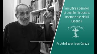 Duminica a 8a după Rusalii Înmulțirea pâinilor și peștilor  Pr Arhidiacon Ioan Caraza [upl. by Ardnasella]