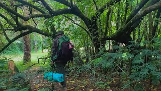 SOLO CAMPING IN HEAVY RAIN at NIGHT  RELAXING CAMPING in THE RAIN  NATURE SOUND [upl. by Reemas]