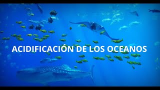 ACIDIFICACIÓN DE LOS OCEANOS — SOSTENIBILIDAD [upl. by Peter]