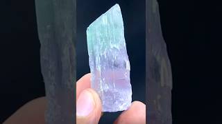 Natural Terminated Bicolor Kunzite Crystal kunzite kunzitecrystal crystals mineralspecimen [upl. by Hufnagel971]