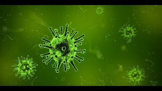 Microbes in Medicine  Botany Tamil [upl. by Kohcztiy917]