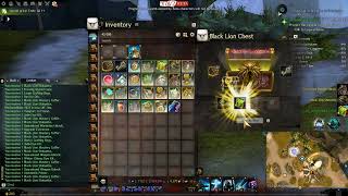 Guild Wars 2 2024 06 29 Black Lion Chest data collection [upl. by Blank]