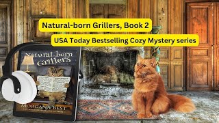 FREE FULL AUDIOBOOK Book 2 of the cozy mystery series Australian Amateur Sleuth [upl. by Sinnel]