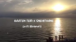 Baatien Teri Yaadein Teri original songBaatein Teri Yaadein Teri Tiktok Trending song LoFi Brands [upl. by Dorahs145]