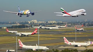 500 Planes in 6 Hours  Epic Sydney Airport Plane Spotting SYDYSSY [upl. by Eneleahcim]