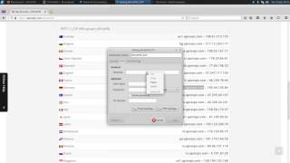 How to set up anonymous VPN L2TP at BackBox Linux use Network Manager [upl. by Lilybel]