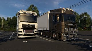 TruckersMP Calais  Duisburg  New MAN TGX  RTX 3060Ti 4K HDR  Logitech G29 [upl. by Annaehr]