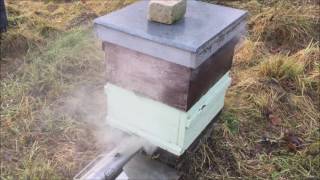 Oxalic acid vaporizer for treating Varroa Mite [upl. by Lail]