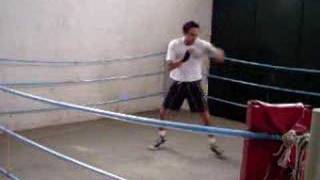 Boxe Sombra [upl. by Dj]