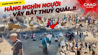 Xuất Hiện quotThuỷ Quáiquot Hàng Nghìn Người Vây Bắt Như Đi Đánh Trận [upl. by Hajed]