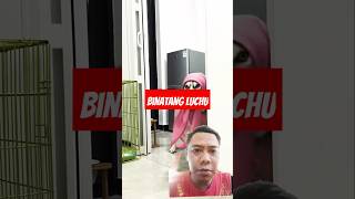 Binatang luchu funny shorts [upl. by Meris]