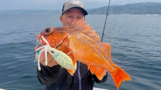 Exploring New Waters for Delicious Fish in California Vermillion Rockfish Catch Clean and Cook [upl. by Atnauqahs]