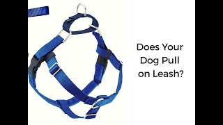 How to Fit a No Pull Freedom Harness [upl. by Jp]