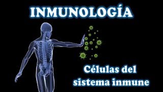 INMUNOLOGÍA 2 Células del sistema inmune [upl. by Yssenhguahs]