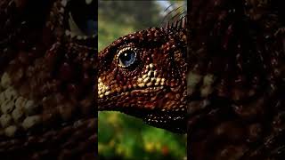 ¿Son realmente los dinosaurios animales gigantescos dinosaurios tierra documental [upl. by Trinia]