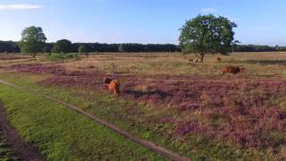 People and Nature  Drone bussumse hei [upl. by Francois]