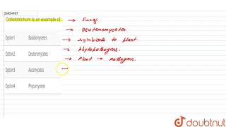 Colletotrichum is an example of [upl. by Muscolo]