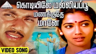 கொடியிலே மல்லியப்பூ மணக்குதே HD Video Song  கடலோர கவிதைகள்  சத்தியராஜ்  ரேக்கா  இளையராஜா [upl. by Erehs]