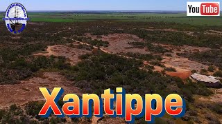 Xantippe  Western Australia [upl. by Aprilette343]