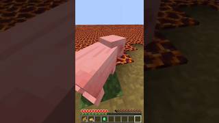 Minecraft entire world is Magma block but I can touch meghama [upl. by Mcdonald657]