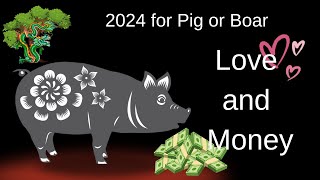 Pig or Boar – Chinese astrology 2024 Love and Money Predictions [upl. by Loring693]