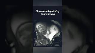 21 weeks baby kicking inside womb biology science neet students fact reality medical students [upl. by Soble]