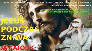 JEZUS PODCZAS ŻNIWA [upl. by Adirehs]