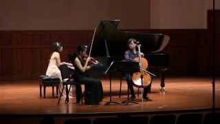 A Piazzolla The Four Seasons of Buenos Aires I Summer Piano Trio [upl. by Agace]