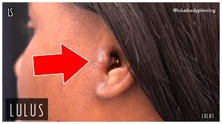 Wow This Tragus Piercing Is BAD [upl. by Enitsed721]