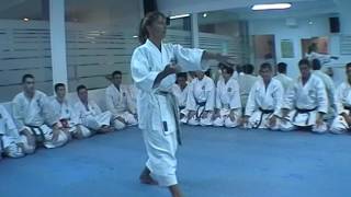 Ju roku katabunkai  Mercedes Arazola Pares  Best Kata Collection [upl. by Elbam]