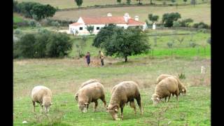 Venham ver o Alentejo [upl. by Ynad570]