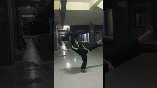 tendangan Depan Dalam pencak silat [upl. by Esoryram]