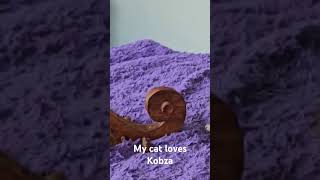 My cat loves Kobza Ukrainian lute wooden musical instrument kobzar bandura catmusic lute [upl. by Yeldnarb]