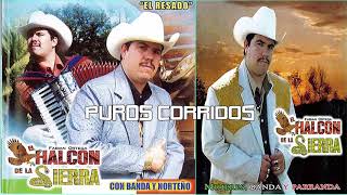 Puros Corridos  MIX  EL HALCON DE LA SIERRA [upl. by Annoel671]