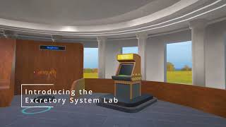 Excretory System  VR Learning [upl. by Bainter]