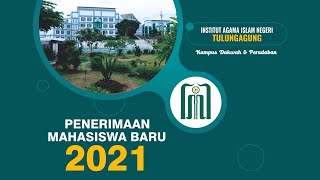 Sekilas Info Pendaftaran Mahasiswa Baru IAIN Tulungagung 2021 [upl. by Iveel913]