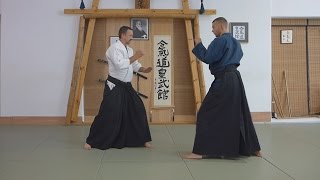 Aikido  Punch and Kicks defense [upl. by Anahsor955]