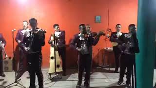 Mariachi Alas de Mexico Popurri [upl. by Mariam]