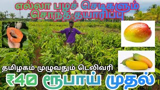 ₹40 ரூபாய் முதல் சொந்த தயாரிப்பில் உற்பத்தி செய்யப்படும் எல்லா விதமான பழக் கன்றுகளும் ஒரே இடத்தில் [upl. by Ttenaej]