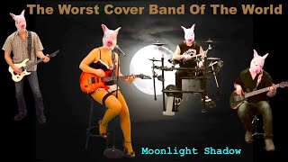 Moonlight Shadow  The Worst Cover Band Of The World  On Tour until 2020 [upl. by Antoinetta128]