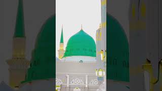 Madina Sharif HD Video status AL NOORI HAJ UMRAH TOURS Indore [upl. by Wemolohtrab]